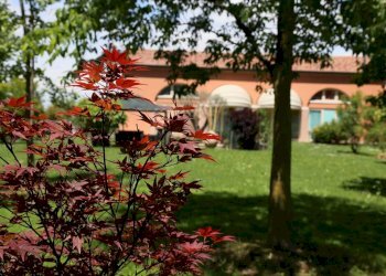 Foto 25 - Rustico strada comunale di san vitale, Treviso - foto 25