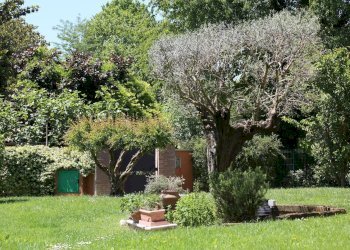 Foto 26 - Rustico strada comunale di san vitale, Treviso - foto 26