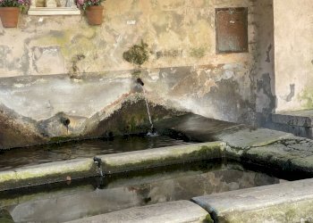 Foto 5 - Magazzino Via Vincenzi Giuseppe
 
61, Caprarola - foto 5