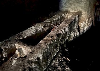 Foto 9 - Magazzino Via Vincenzi Giuseppe
 
61, Caprarola - foto 9