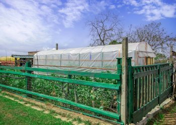 Foto 20 - Villa Via Colle Farina, Zagarolo - foto 20