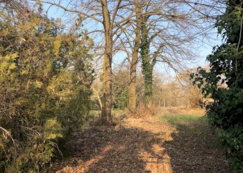 Foto 4 - Casa indipendente Villimpenta - foto 4