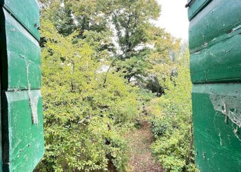 Foto 6 - Casa indipendente Villimpenta - foto 6