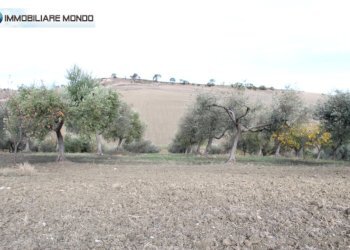 Foto 23 - Rustico Ururi, Ururi - foto 23