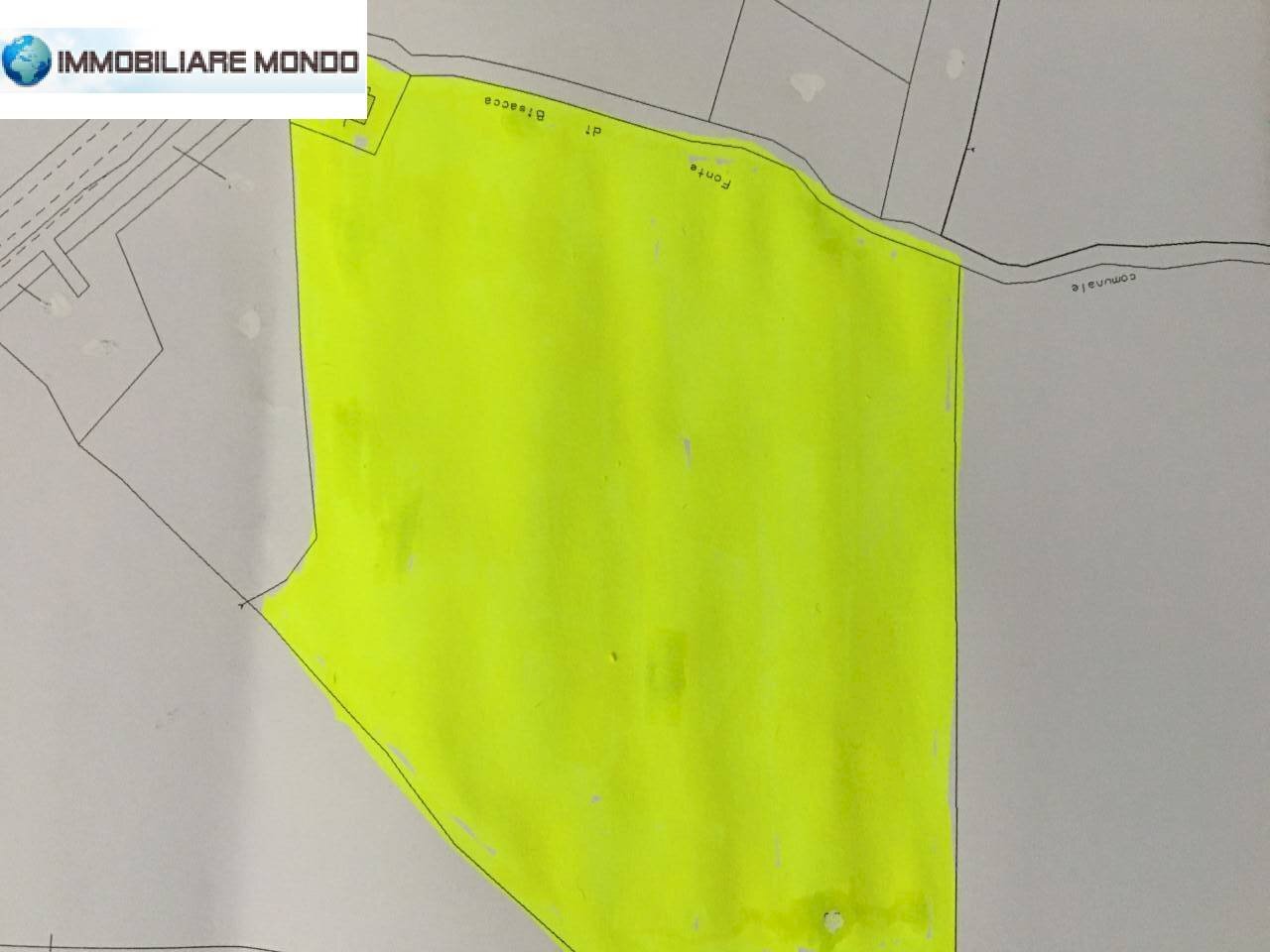 Foto 55 - Rustico Strada Comunale Fonte di Bisaccia, Montenero di Bisaccia - planimetria 1