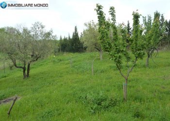 Foto 25 - Rustico Strada Comunale Fonte di Bisaccia, Montenero di Bisaccia - foto 25