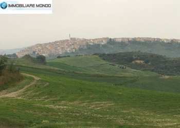 Foto 46 - Rustico Strada Comunale Fonte di Bisaccia, Montenero di Bisaccia - foto 46