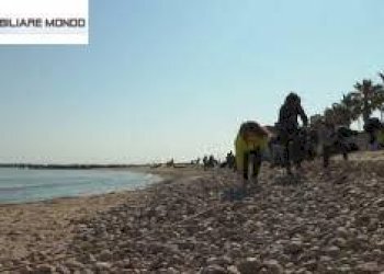 Foto 58 - Rustico Strada Comunale Fonte di Bisaccia, Montenero di Bisaccia - foto 56