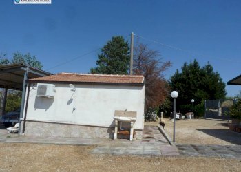 Foto 7 - Rustico Strada Comunale Fonte di Bisaccia, Montenero di Bisaccia - foto 7