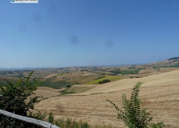 Foto 44 - Rustico Strada Comunale Fonte di Bisaccia, Montenero di Bisaccia - foto 44