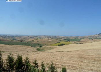 Foto 45 - Rustico Strada Comunale Fonte di Bisaccia, Montenero di Bisaccia - foto 45