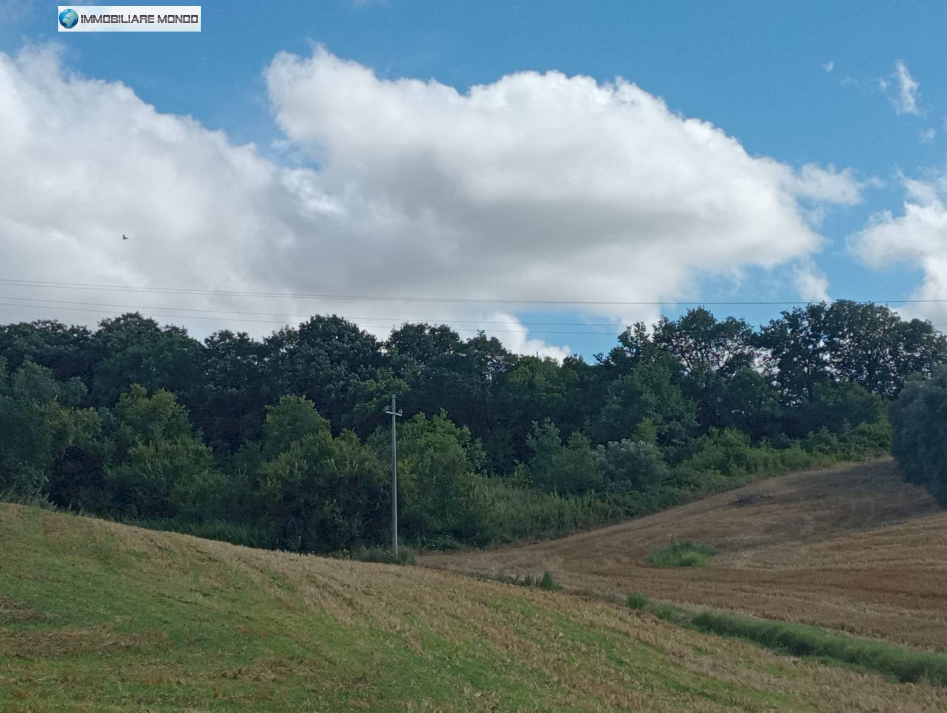 Foto 1 - Agricultural land Strada Provinciale 51, Termoli - photo 1