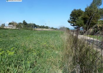 Foto 3 - Terreno edificabile Via G Pascoli, Termoli - foto 3