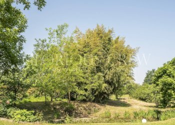 Foto 8 - Villa Gazzola, Gazzola - foto 8