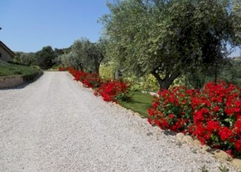 viale - Villa Via del semaforo, Martinsicuro - foto 2