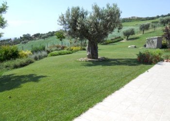 giardino - Villa Via del semaforo, Martinsicuro - foto 4