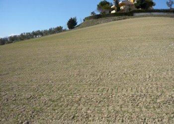 Foto 4 - Terreno edificabile CONTRADA GIARDINO, Colonnella - foto 4