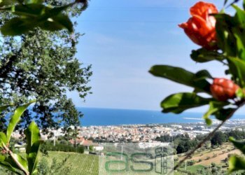 Foto 33 - Villa Tortoreto - foto 33