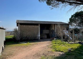 Foto 17 - Casa semi indipendente Montefalco-Cortignano, Montefalco - foto 17