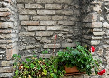 Foto 34 - Stabile - Palazzo corso garibaldi
 
88, Spoleto - foto 34