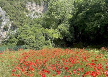 Foto 38 - Stabile - Palazzo Triponzo, Cerreto di Spoleto - foto 38