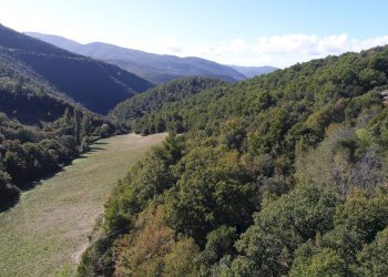 Foto 3 - Rustico Forca di Cerro, Spoleto - foto 3