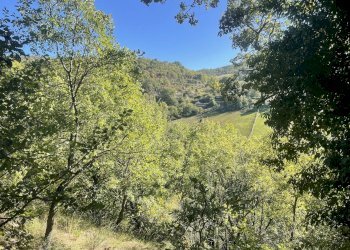 Foto 10 - Rustico Forca di Cerro, Spoleto - foto 10