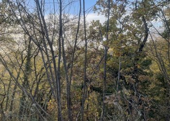 Foto 4 - Terreno agricolo Frazione Castagna Cupa, Spoleto - foto 4