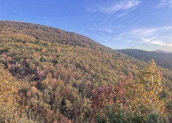 Foto 17 - Terreno agricolo Frazione Castagna Cupa, Spoleto - foto 17