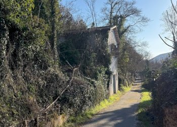 Foto 6 - Rustico Cerreto di Spoleto, Cerreto di Spoleto - foto 6