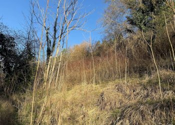 Foto 7 - Rustico Cerreto di Spoleto, Cerreto di Spoleto - foto 7