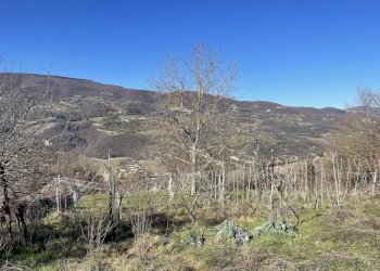 Foto 14 - Rustico Cerreto di Spoleto, Cerreto di Spoleto - foto 14