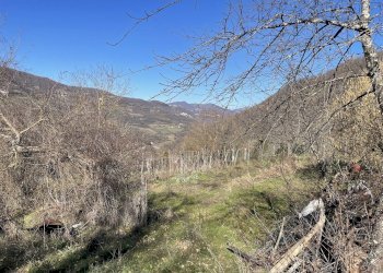 Foto 17 - Rustico Cerreto di Spoleto, Cerreto di Spoleto - foto 16