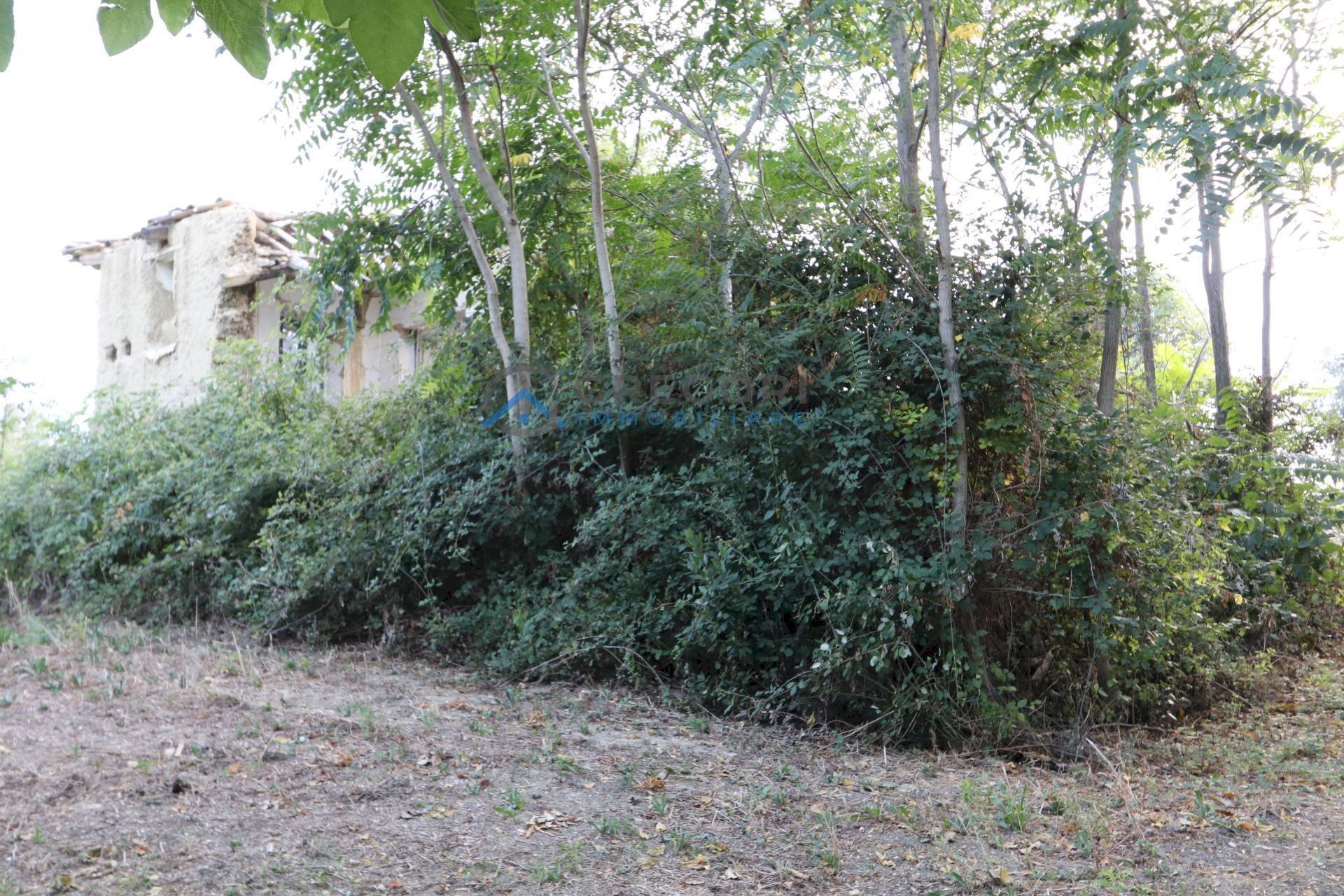 Foto 1 - Rustic Via Fonte Ripa
 
snc, Controguerra - photo 1