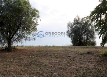 Foto 2 - Rustic Via Fonte Ripa
 
snc, Controguerra - photo 2