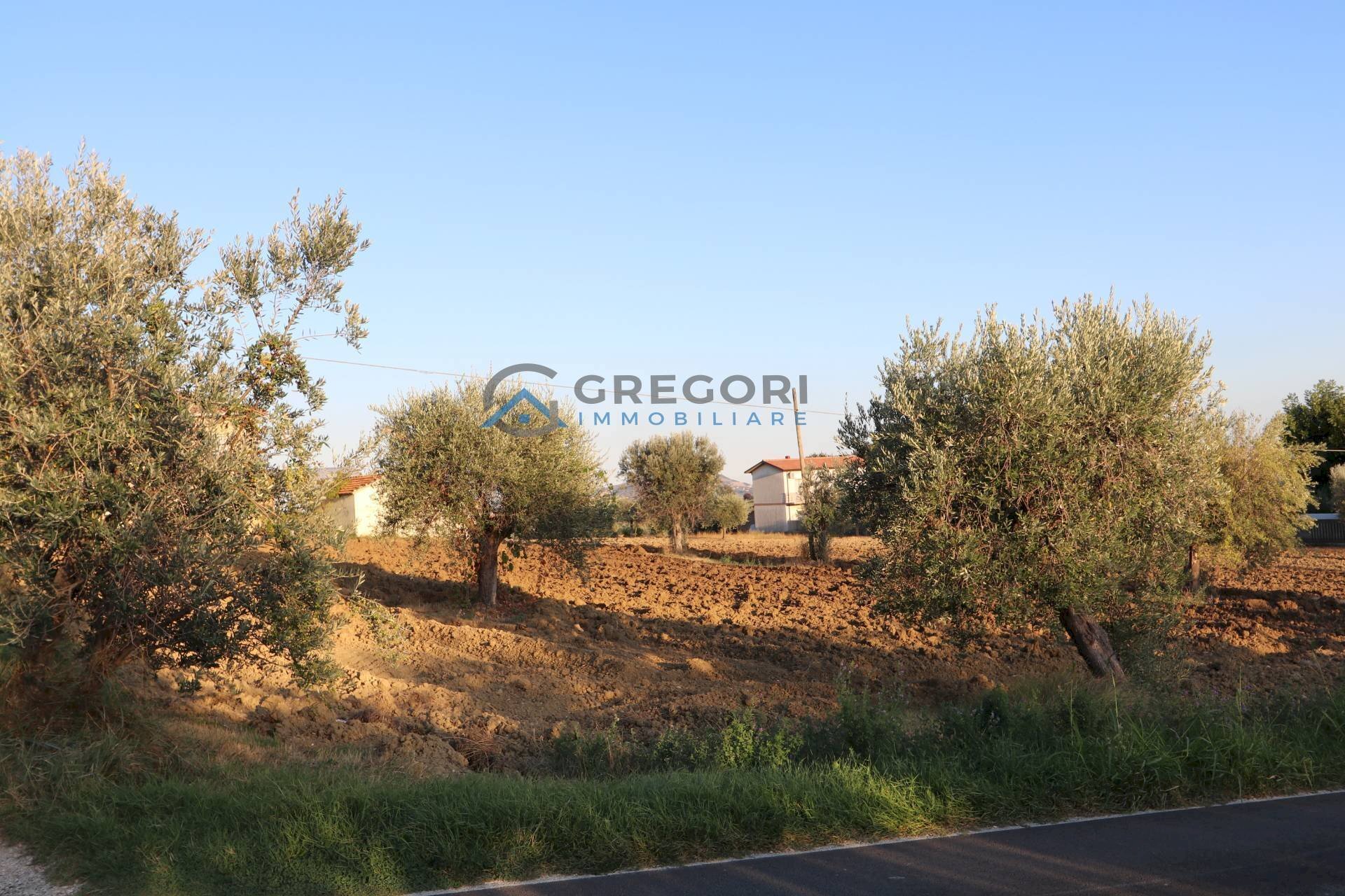 Foto 2 - Building land C.da San Giuseppe
28, Controguerra - photo 2