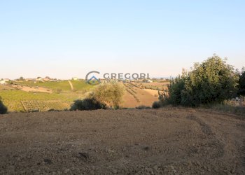 Foto 4 - Terreno edificabile C.da San Giuseppe
 
28, Controguerra - foto 4