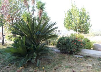 Foto 47 - Villa Via Dell'Agricoltura
 
snc, Tortoreto - foto 47