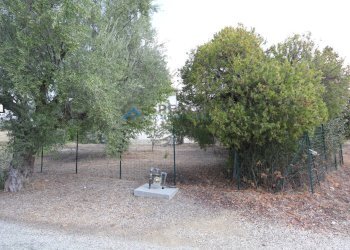 Foto 2 - Villa C.da Pignotto
 
snc, Controguerra - photo 2