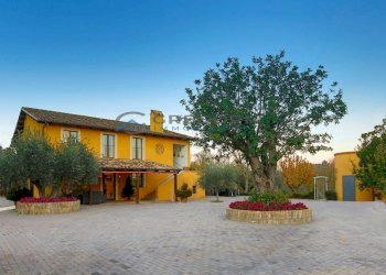 Foto 4 - Hotel Via Mediana
 
2, Sant'Omero - foto 4