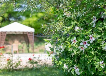 Foto 32 - Hotel Via Mediana
 
2, Sant'Omero - foto 32