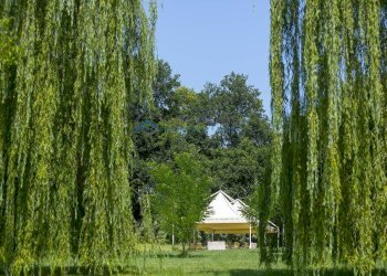 Foto 44 - Hotel Via Mediana
 
2, Sant'Omero - foto 44