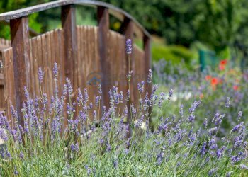 Foto 56 - Hotel Via Mediana
 
2, Sant'Omero - foto 56