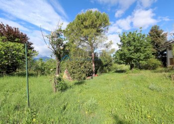 Foto 12 - Villa Capo di Fuori
 
153, Sant'Omero - foto 12