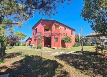 Foto 40 - Villa Via Palombare
 
snc, Sant'Omero - foto 40