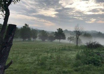 Foto 40 - Independent house Frazione Quarto Superiore
 
87, Asti - photo 40