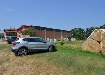 Foto 51 - Independent house Frazione Quarto Superiore
 
87, Asti - photo 51