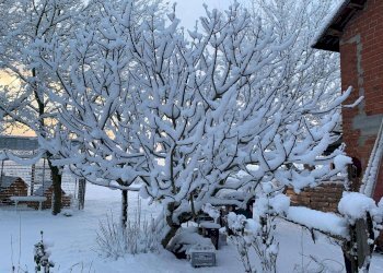 Foto 53 - Independent house Frazione Quarto Superiore
 
87, Asti - photo 53