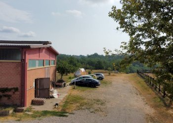 Foto 62 - Independent house Frazione Quarto Superiore
 
87, Asti - photo 62