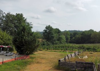 Foto 69 - Independent house Frazione Quarto Superiore
 
87, Asti - photo 69